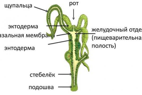 Kraken kr2web in