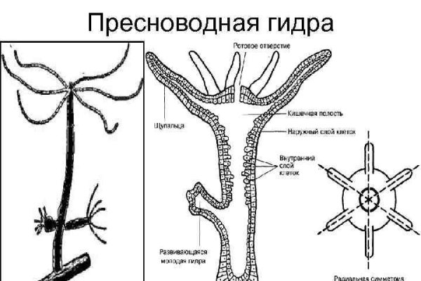 Биржа кракен